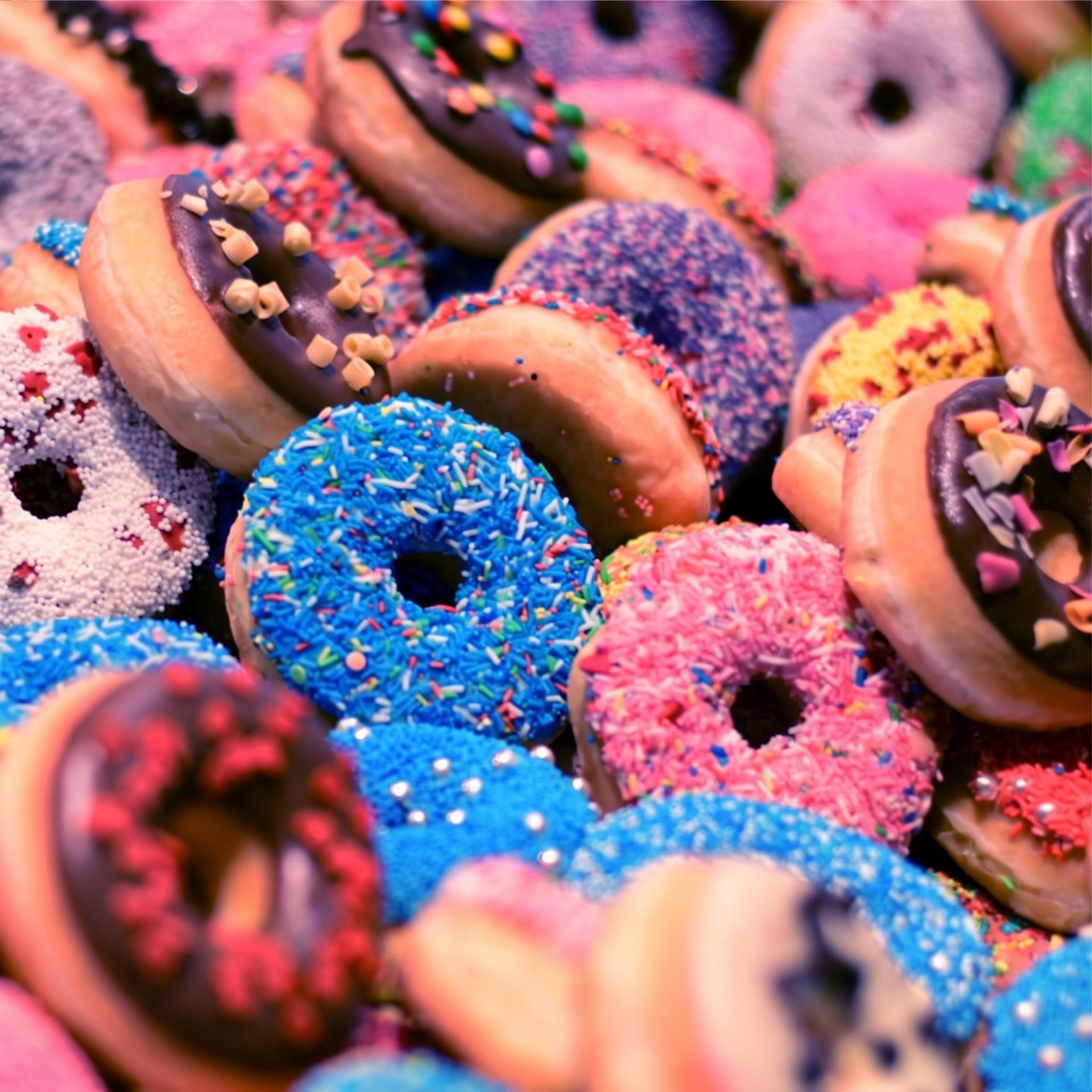 Perfect Treats for Every Occasion